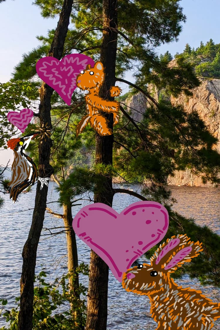 13 Postcard Set, Love the Outdoors - 2023 Photography and digital illustration collage